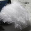 50Pcs Premium Soft Turkey Marabou Feathers Fluffy Craft Feathers for Kids Art Project Birthday Party Decor