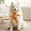 Köpek – Köpek oyuncakları
