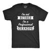 Mens Im Not Retired A Professional Grandpa T Shirt Funny Sarcastic Grandfather Casual Vintage Washed Versatile Soft Fashion