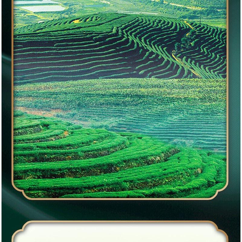 CHINA TEA Black Tea No.1 Yunnan FengQing Dianhong Dian Hong Tea 300g