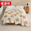 Hengyuanxiang Antibacterial Class A Fleece Blanket