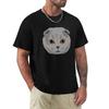 Scottish Fold Cat Tshirt Basic Crew Neck Short Sleeve Top