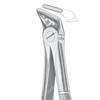 GDC Extraction Forceps Lower Roots - 31 Standard (FX31S)