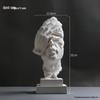 David Head Bust: Plaster Sculpture for Art Students & Teaching Aids
