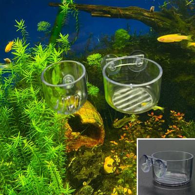 Vissen en zeedieren – Aquarium decoratie