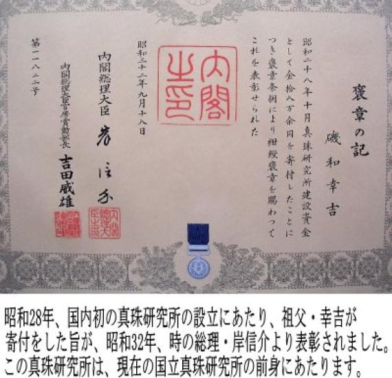 [Isowa Pearl] Isowa Pearl, a pearl specialty store in Ise-Shima, presents a freshwater pearl necklace. Approx. 6mm wide, 4mm thick, gold-brown color,