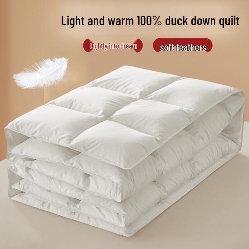 White Duck Down Thick Winter Quilt