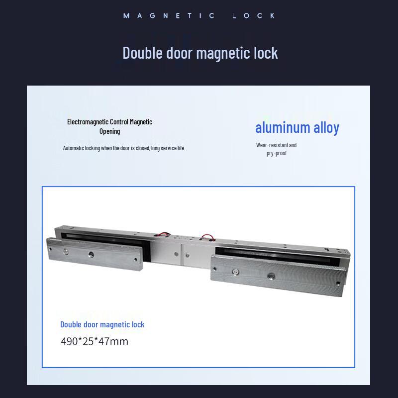 Realand Card and Password Access Control System with Double Magnetic Lock Set