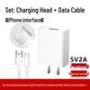 Universal Fast Charge 5V2A/5V1A USB Charger Head for Android & Type-C Devices