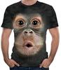 Sleeping Sheep 3D Print Funny T-Shirt, Fake Design, Optical Illusion, Cosplay, Party, Disguise, Costume, Size M, Short Sleeve Tee (Monkey Print)