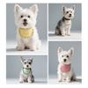 Ropa y calzado – Accesorios para perros