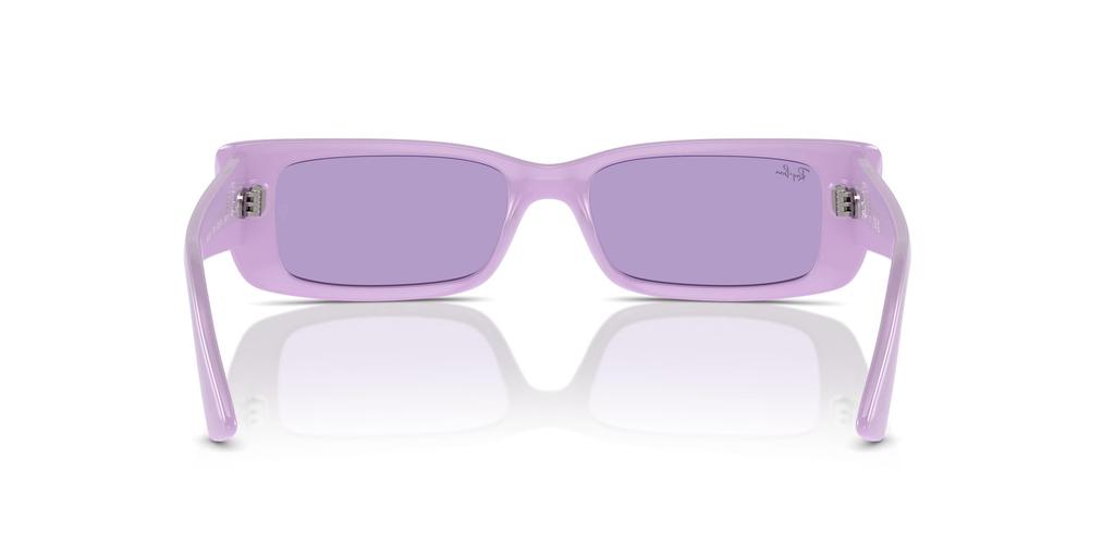 Sunglasses RB4425F TERU LILIAC 54 [Ray-Ban]
