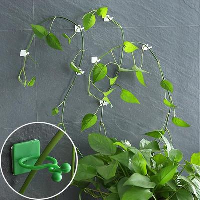 Dill Holder Vine Plant Green Plant Wall Climber Hook Wire Fixing Buckle Climbing Vine Modeling Fixing Clip