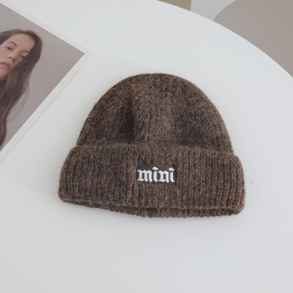 Simple Embroidered Knitted Hat for Women's Autumn and Winter New Collection  Warm Thickened  Cold Hat That Looks Good on The Face Small Ear Protection