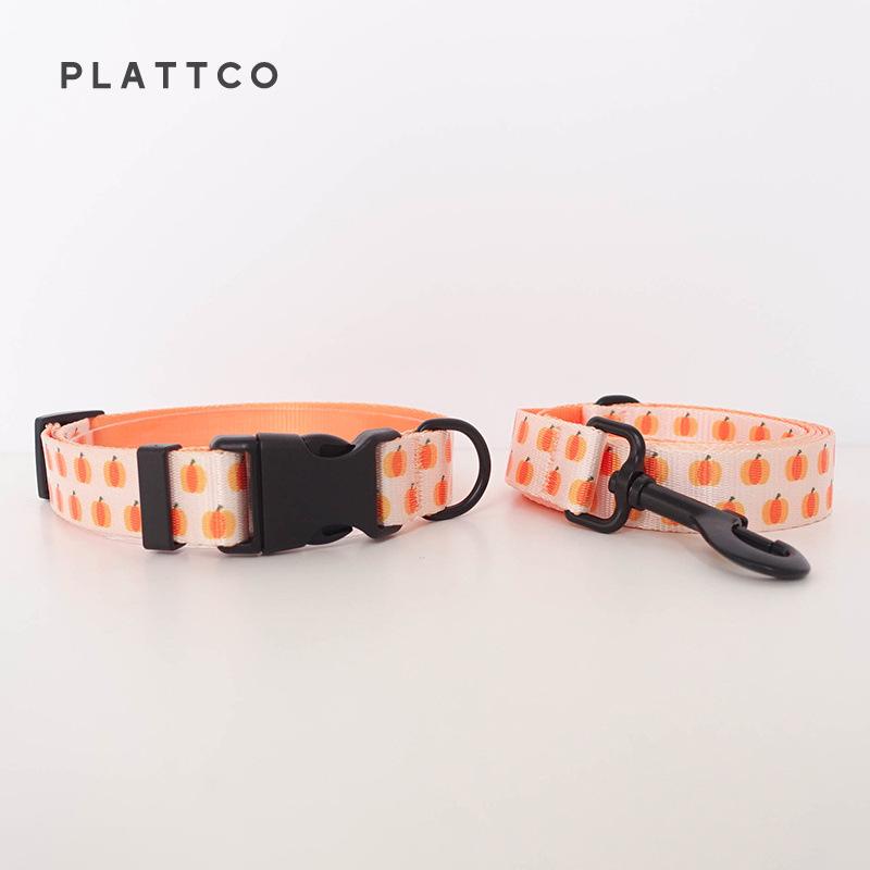 PLATTCO Nylon Pumpkin Print Dog Collar & Leash Set PDC321