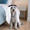 Fashion Casual Pet Hat Halloween Pet Party Dress Up Props Cat Dog Funny Headscarf Pet Headgear