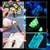 20g/30g Flasche Fluoreszierendes Pigment Langlebige Leuchtfarben Auto Glow Glow In Dark Acrylfarben Für Kunstwerke Partyzubehör