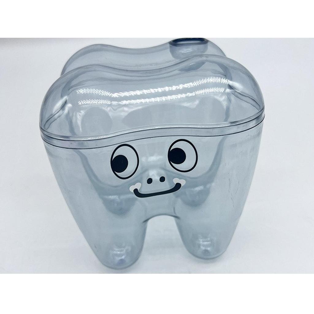 Tooth Molar Storage Box - Tooth-Shaped Organizer