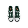 Nike Dunk Low GS White Black Kids Lifestyle Sneakers CW1590-102