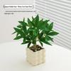 Oushuomai Bubble Vase with Faux Money Tree