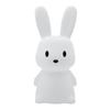 INNOGIO GIO-138 GIOrabbit Mega Maxi Night Lamp 51 Cm