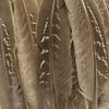 Natural Pheasant Feathers for Crafts 10-15cm DIY Feather Dream Catcher Jewelry Creation Handicraft Accessories Plumes Decoration