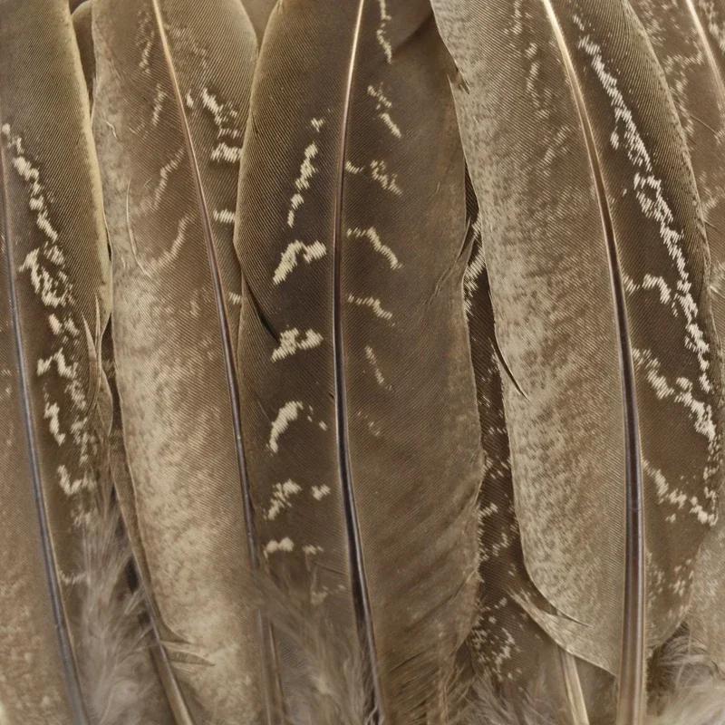 Natural Pheasant Feathers for Crafts 10-15cm DIY Feather Dream Catcher Jewelry Creation Handicraft Accessories Plumes Decoration