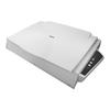 Avision XP6800 Zero-Margin A3 Flatbed Scanner CN Plug (adapter Included)