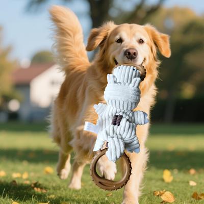 Cani – Giocattoli per cani