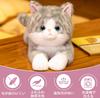 Homehalo Realistic Plush Cat Stuffed Animal, Super Cute, Fluffy Cat Body Pillow with Belly Weighted Beads, Soothing Body Pillow, Funny Gift,