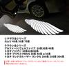 Toyota General Purpose LED Courtesy Lamp, Door Projection Light, Logo Projection, High Brightness, Cool