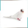 Parrot Figurine Pvc Educational Toy For Children Classroom And Home Use