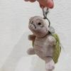 Turtle bag pendant keychain doll cute home decoration cat dog interactive toy pet holiday gift 15cm