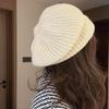 Knitted Fisherman's Hat Women's Autumn and Winter Loose Warm Beret Pile Hat Wool Hat