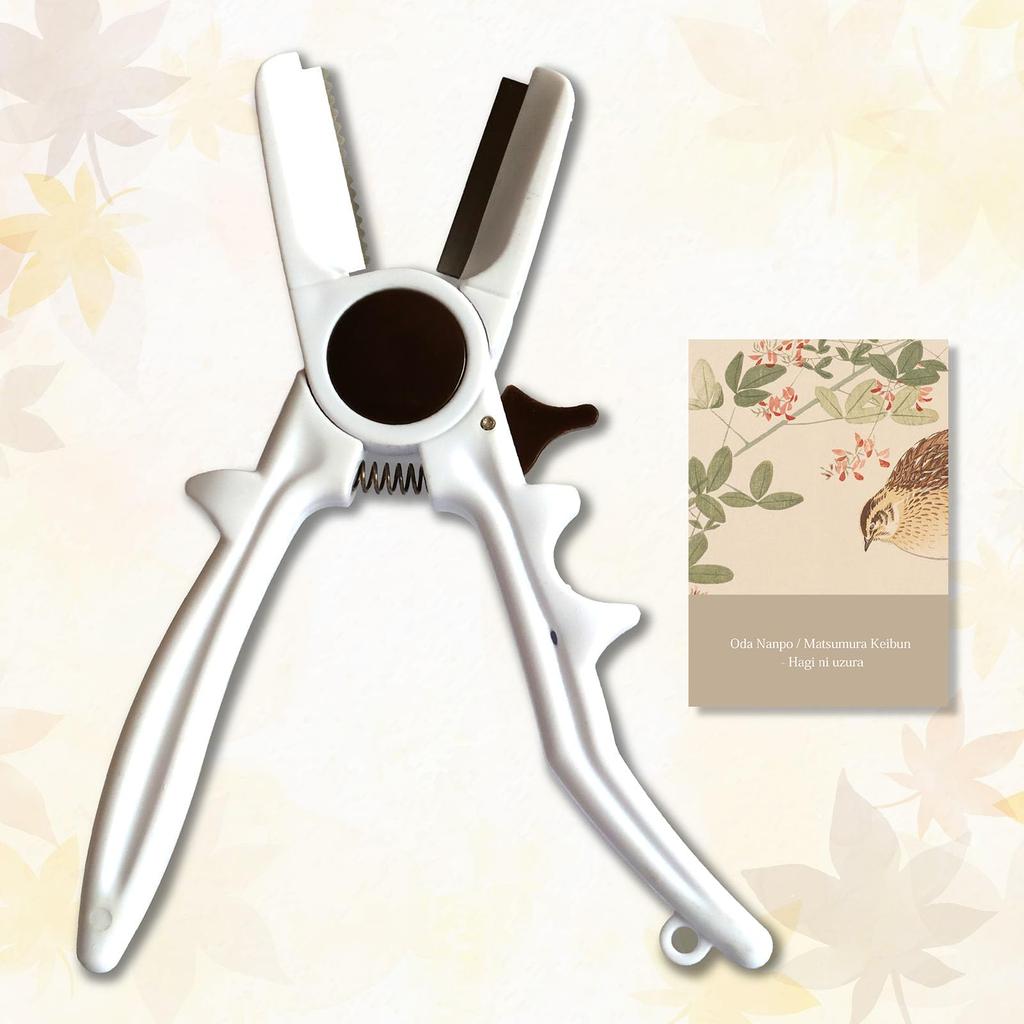 Project Socrates Chestnut Peeler Chestnut Chestnut Kitchen Tool [HAGI] Peeler, Scissors, Sheller,