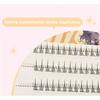 Gege Bear - Twelve Constellations Glue Free False Eyelashes - Sagittarius