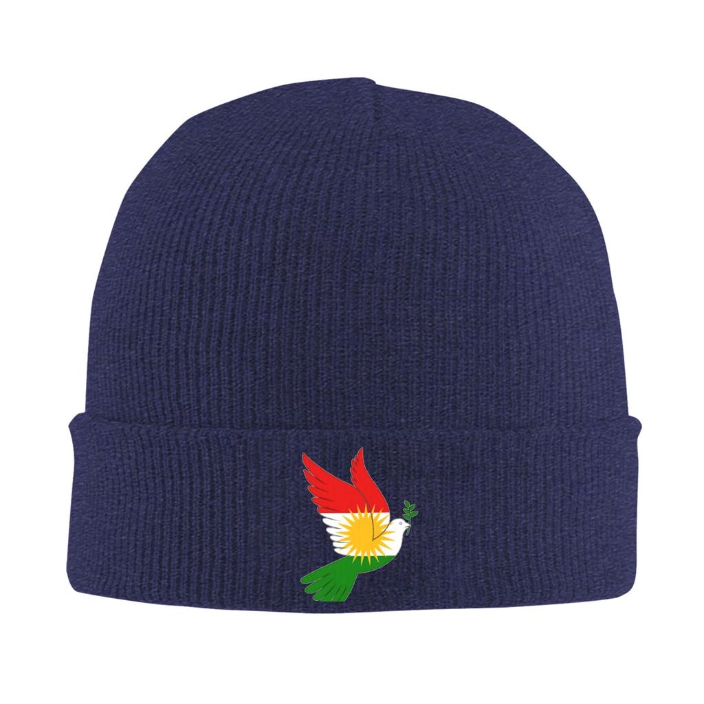 Kurdistan Flagge Mützen Bonnets Männer Frauen Lässig Kpop Mützen Beanies Frühling Design Warm Weich Mützen