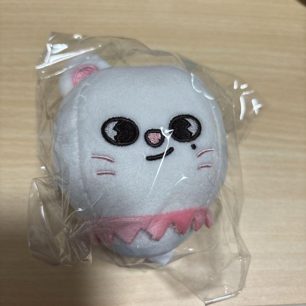 [USED] Straykids Ginillet Bag Charm