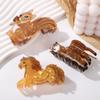 Cartoon Acrylic Claw Clip Leaf Large Shark Clip Fashion Animal Hair Claw  Ladies