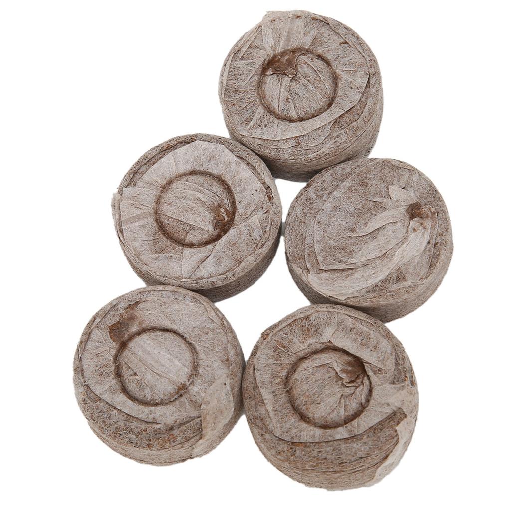 20 ks 30 mm sazenice zeminy ze školky půdní blok Zahradní květiny Příslušenství k výsadbě zeleniny