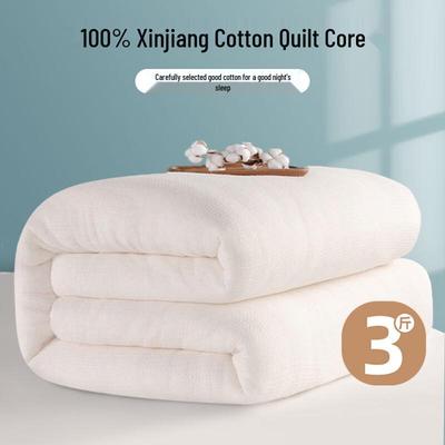 Natural Xinjiang Cotton Thin Quilt