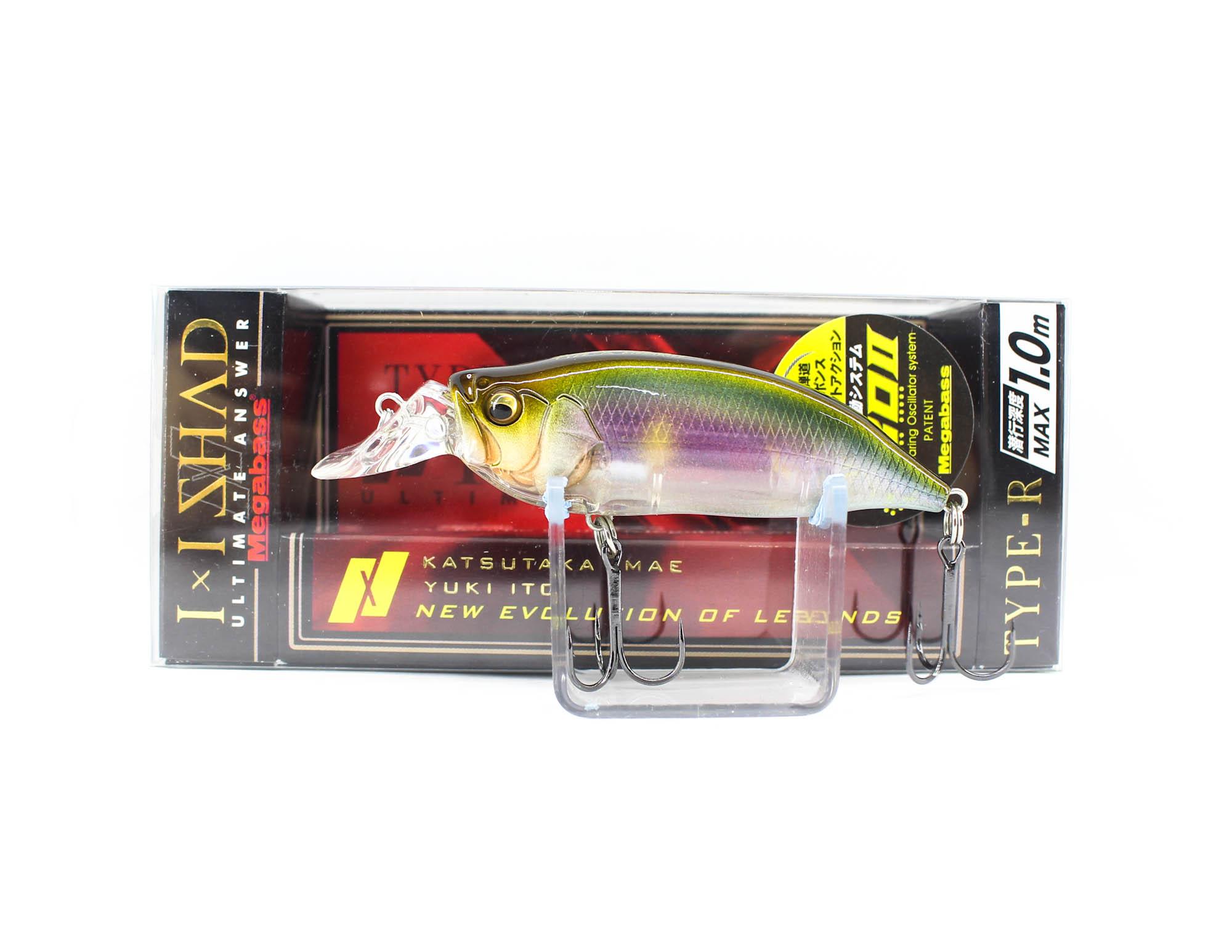 

Megabass I X I Shad Type-R 1м Плавающая Приманка ITO Ayu (0685)