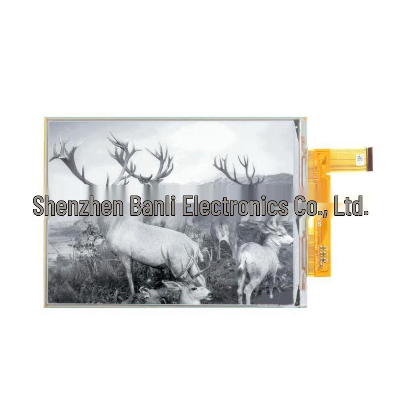 10.3" Flexible Ink Display - Durable Bendable Black & White Screen