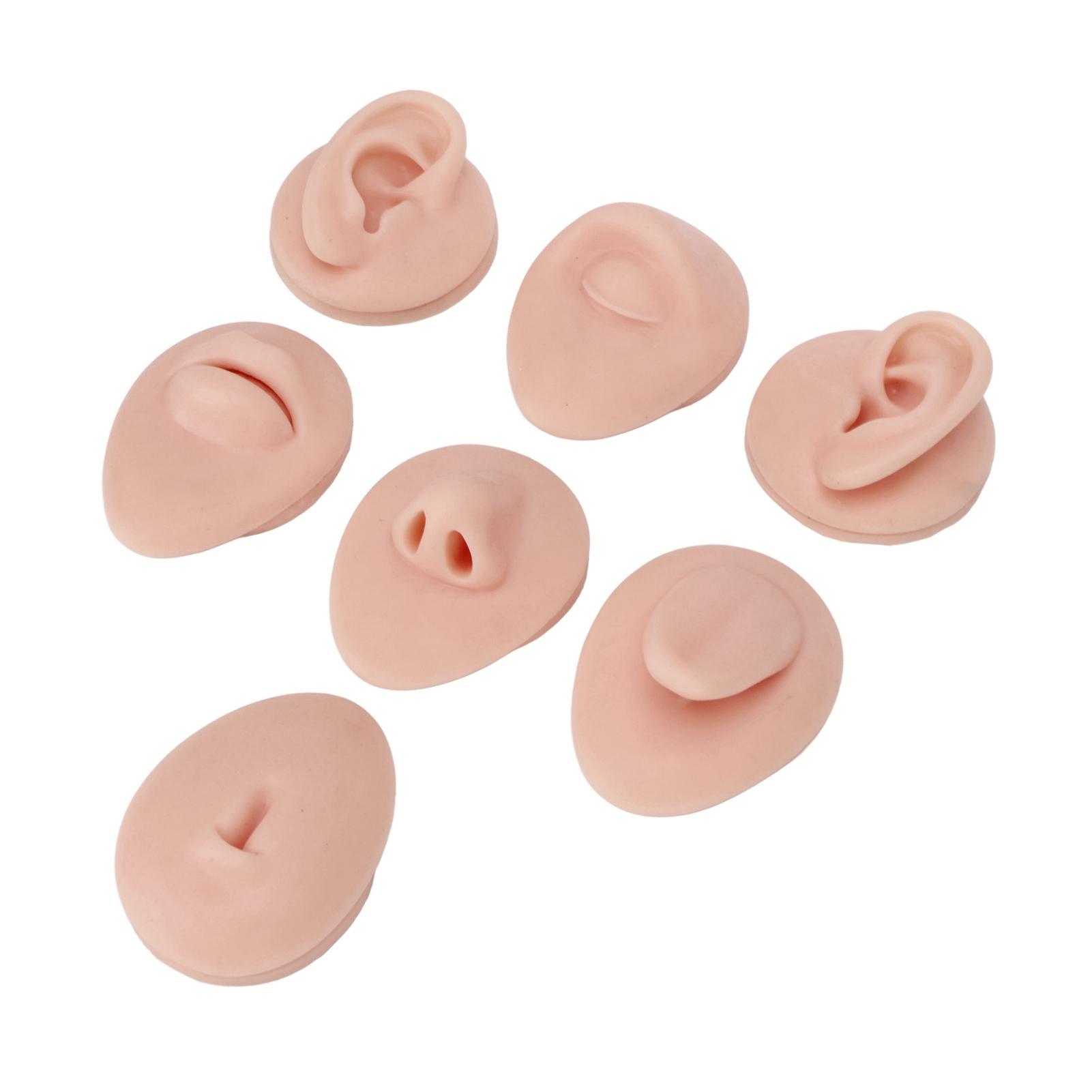 

Silicone Body Part Model Soft Silicone Ear Mouth Nose Eye Tongue Navel Model with Display Rack for Teaching Display Medium Skin Color