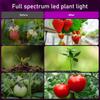 Plant Grow Light Floor Lamp Full Spectrum Sunlight Large Potted Plant Fill Light 3 9 12 Hours Timing 10 Levels Dimming