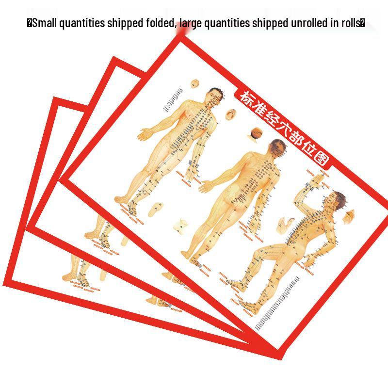 TCM Acupuncture Meridian and Acupoint Wall Chart - Portable Home Massage Guide