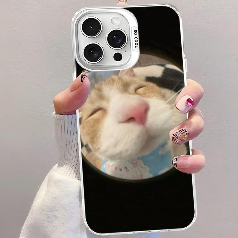 Pet Cat Funny Memes Phone Case For IPhone 16 15 14 13 12 11 Pro Max X XR XSMAX 8 7 Plus Matte Shockproof Back Cover