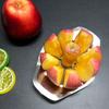 Kitchen Gadgets Stainle Steel Apple Cutter with Comfort Handle Fruit Divider Slicer Tool for Quick Cutting of Apples Other Fruit