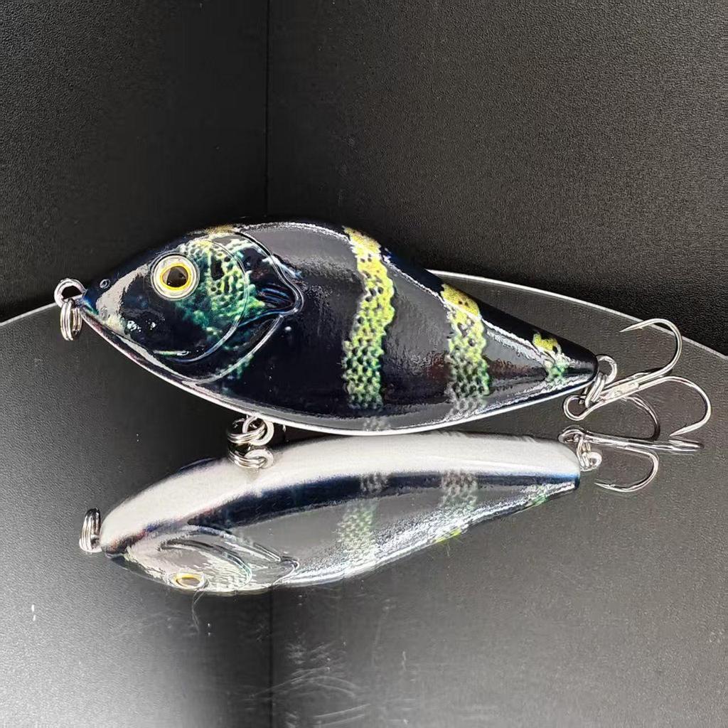 10cm 45g Sinking Pike Jerkbait – The Ultimate Predator Lure,Suitable for Both Saltwater and Freshwater