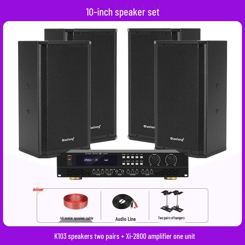 QIASHENG Professional Conference Room & Stage Audio System CN plug (adapter included)